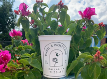 Load image into Gallery viewer, Custom 16oz Plastic Stadium Cups
