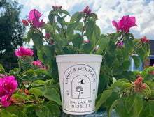 Load image into Gallery viewer, Custom 16oz Plastic Stadium Cups
